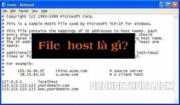 File host là gì?