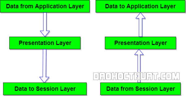 Vai trò và chức năng tầng trình bày (Presentation Layer) trong Mô hình OSI