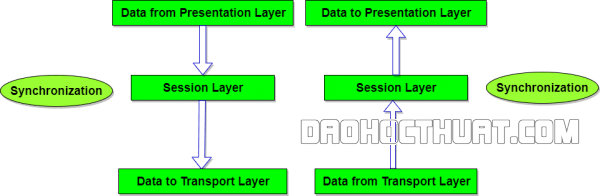 Vai trò và chức năng tầng phiên (Session Layer)Vai trò và chức năng tầng phiên (Session Layer) trong Mô hình OSI