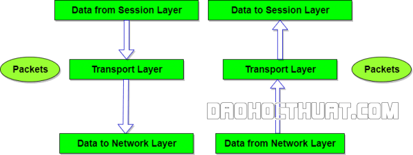 Vai trò và chức năng tầng vận chuyển (Transport Layer) trong Mô hình OSI
