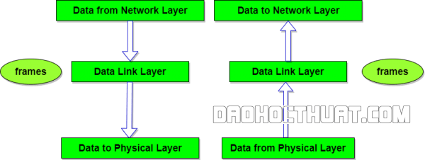 Vai trò và chức năng tầng liên kết dữ liệu (Data Link Layer) trong Mô hình OSI