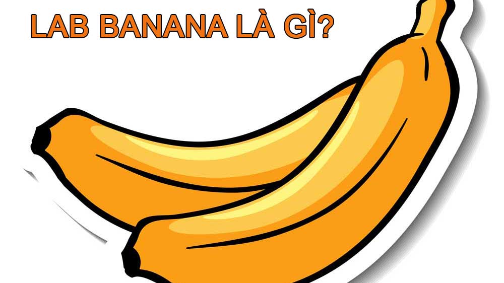 Lab Banana là gì? Hiện tượng chuối di chuyển là thật hay giả