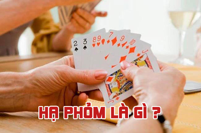 Phỏm là gì? Hạ phỏm là gì và chơi phỏm có bị phạt không?