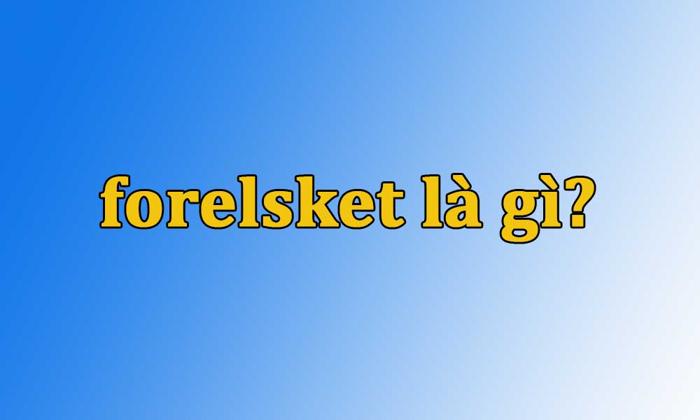 Forelsket là gì? Ý nghĩa của cụm từ forelsket trong tình yêu