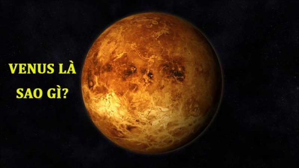 Venus là sao gì