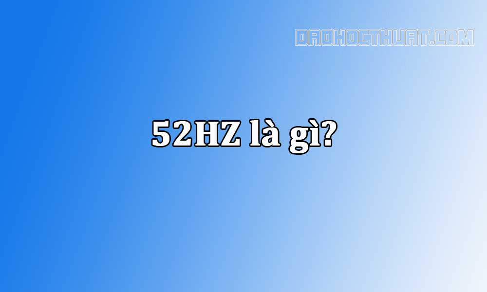 52Hz là gì? 52Hz có gì đặc biệt mà lại hot như vậy?