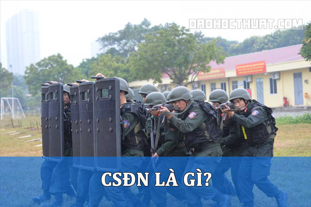 CSĐN là gì? Nhiệm vụ của CSĐN có gì khác biệt