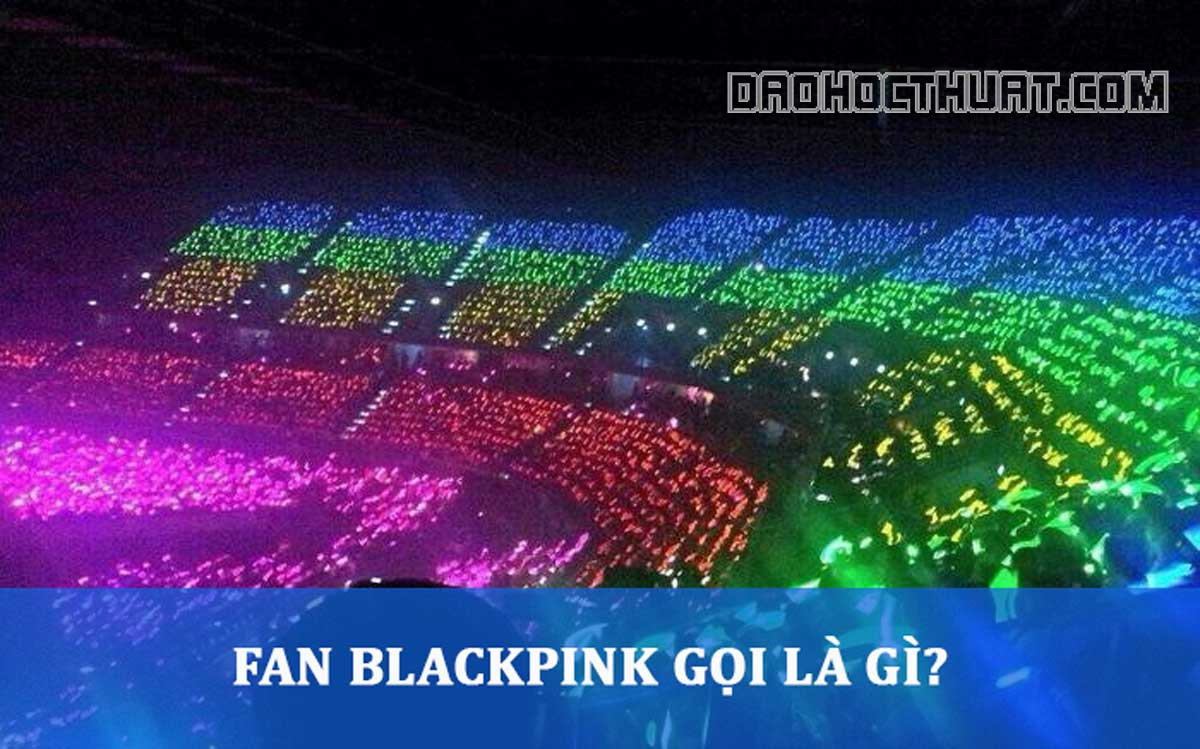 Fan Blackpink gọi là gì? Hoạt động của Fan hâm mộ Blackpink