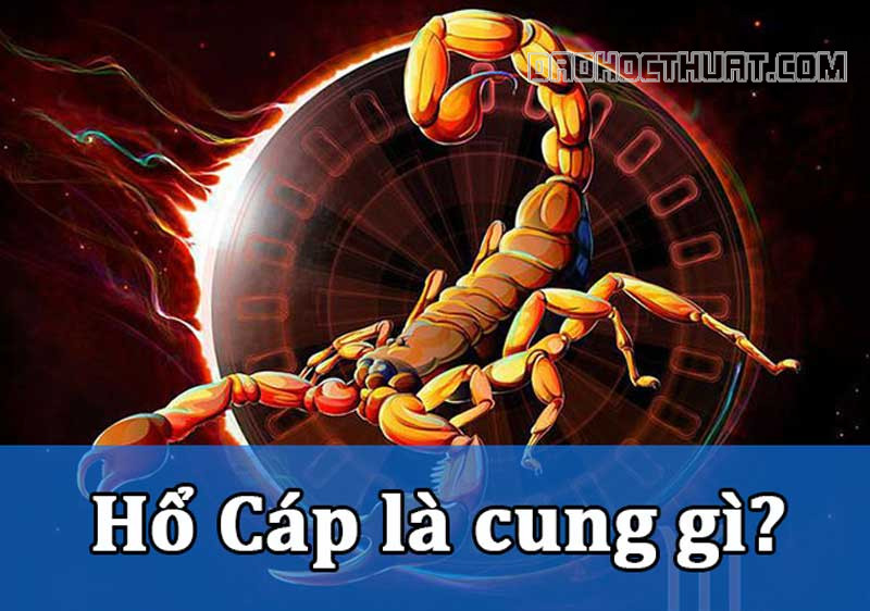 Hổ Cáp là cung gì? Tính cách của người mang cung Hổ Cáp