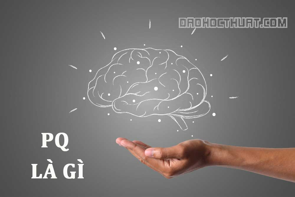 PQ là gì? Cách để tăng chỉ số PQ của bản thân