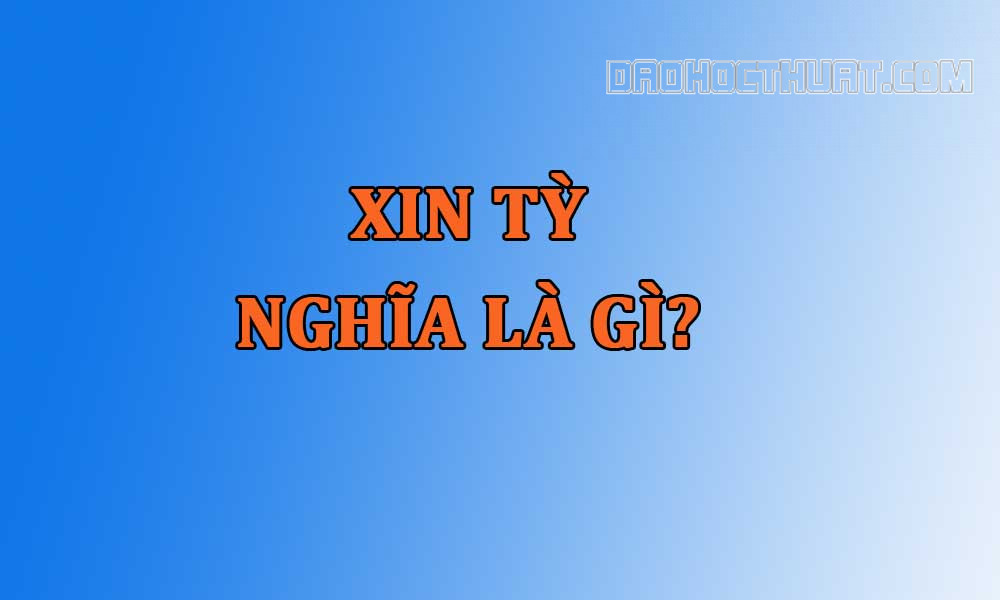 Xin Tỳ nghĩa là gì? Câu nói người miền Tây hay dùng