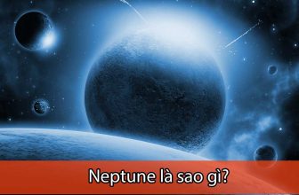 Neptune là sao gì