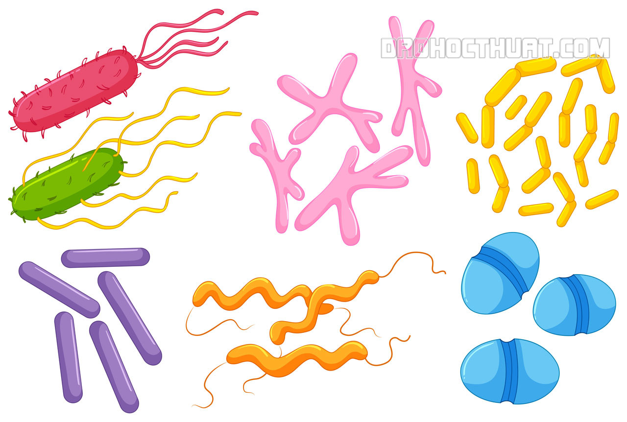 Excrement.mu-hominis là gì? Điều cần biết Excrement.mu-hominis