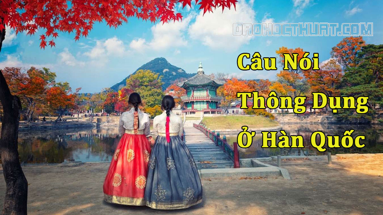 Trang bị một số câu nói thông dụng khi đến Hàn Quốc